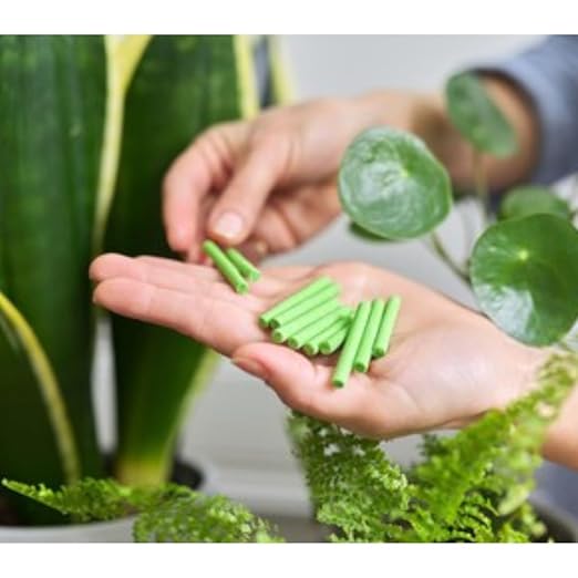 Professional grade vegetable seeds for organic garden growing application guide | DropDash